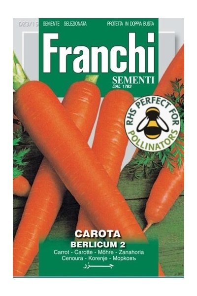 Carrot Berlicum