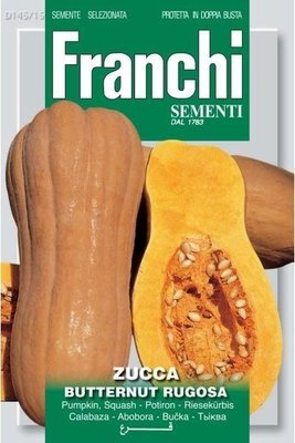 Buttenut Squash Rugosa