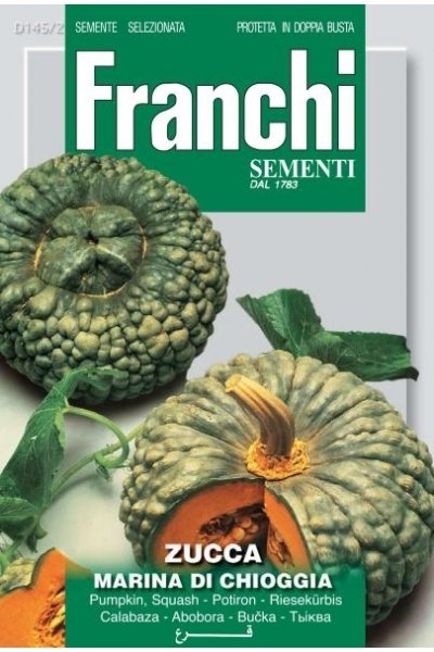 Pumpkin Marina Di Chioggia