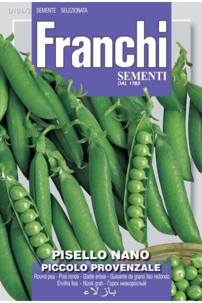 Dwarf Pea Piccolo Provenzale