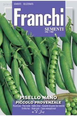 Dwarf Pea Piccolo Provenzale