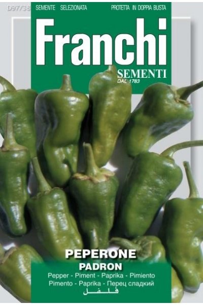 Padron Chilli Pepper - Pimento De Padron