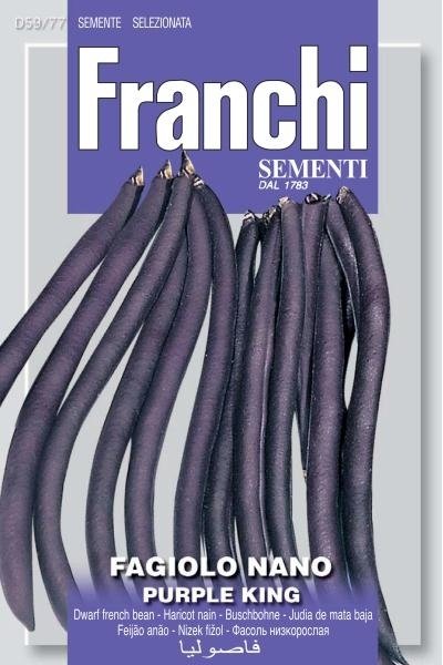 Dwarf French Bean Purple King