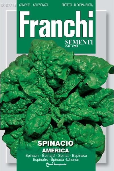 Spinach America
