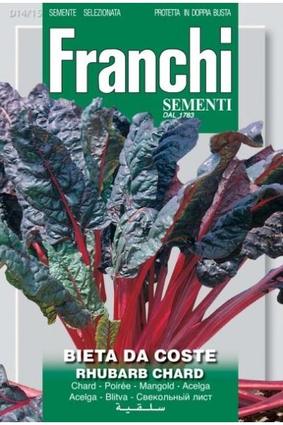 Rhubarb Swiss Chard