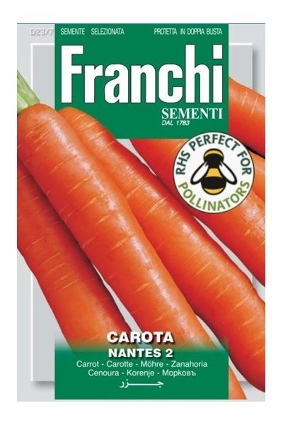 Carrot Nantese Of Chioggia