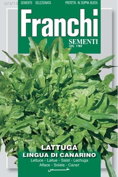 Lettuce Lingua Di Canarino