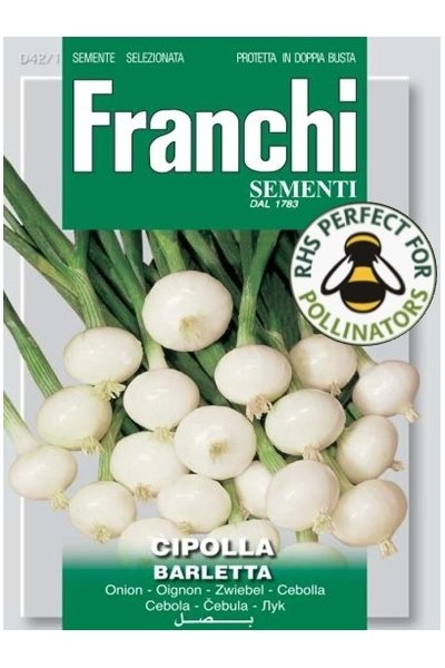 Salad Onion Barletta