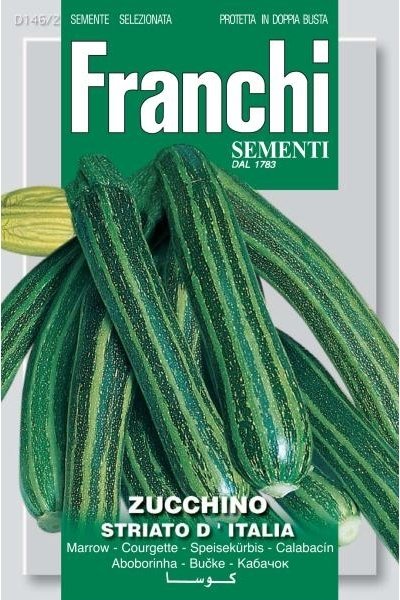 Courgette Striato D&#39;Italia