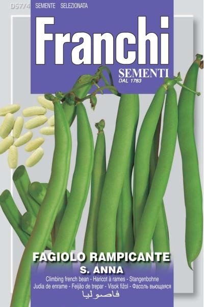 Climbing French Bean St.Anna