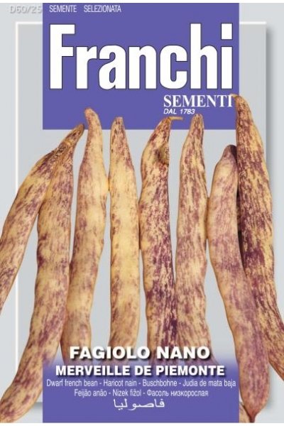 Dwarf French Bean Merveille De Piemonte