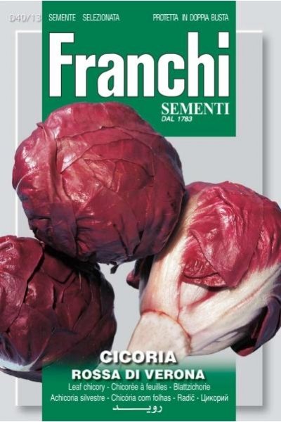 Radicchio Palla Rossa Of Verona