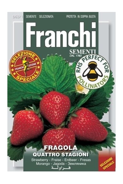 Strawberry Quattro Stagioni