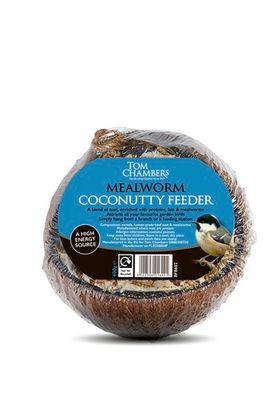 Whole Coconut with Mealworms