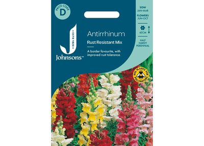 ANTIRRHINUM Rust Resistant Mix ANTIRRHINUM Rust Resistant Mix
