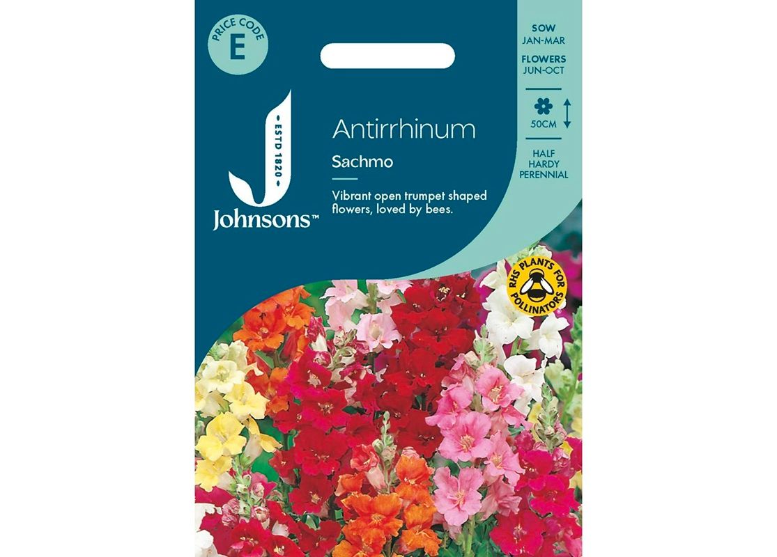 ANTIRRHINUM Sachmo ANTIRRHINUM Sachmo