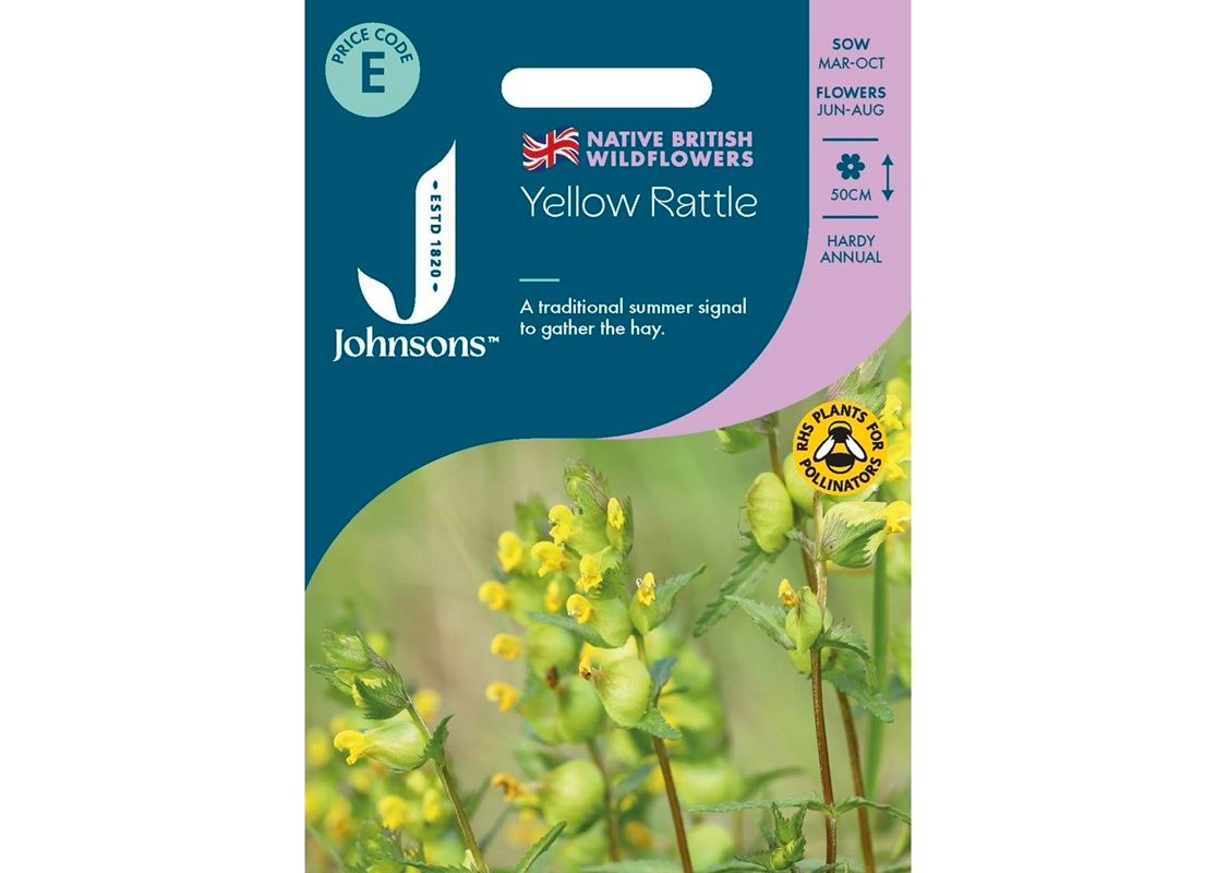 Yellow Rattle Yellow Rattle