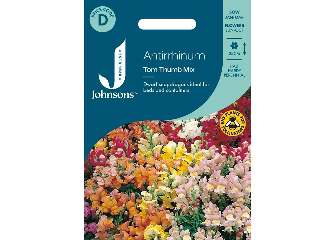 ANTIRRHINUM Tom Thumb Mix ANTIRRHINUM Tom Thumb Mix