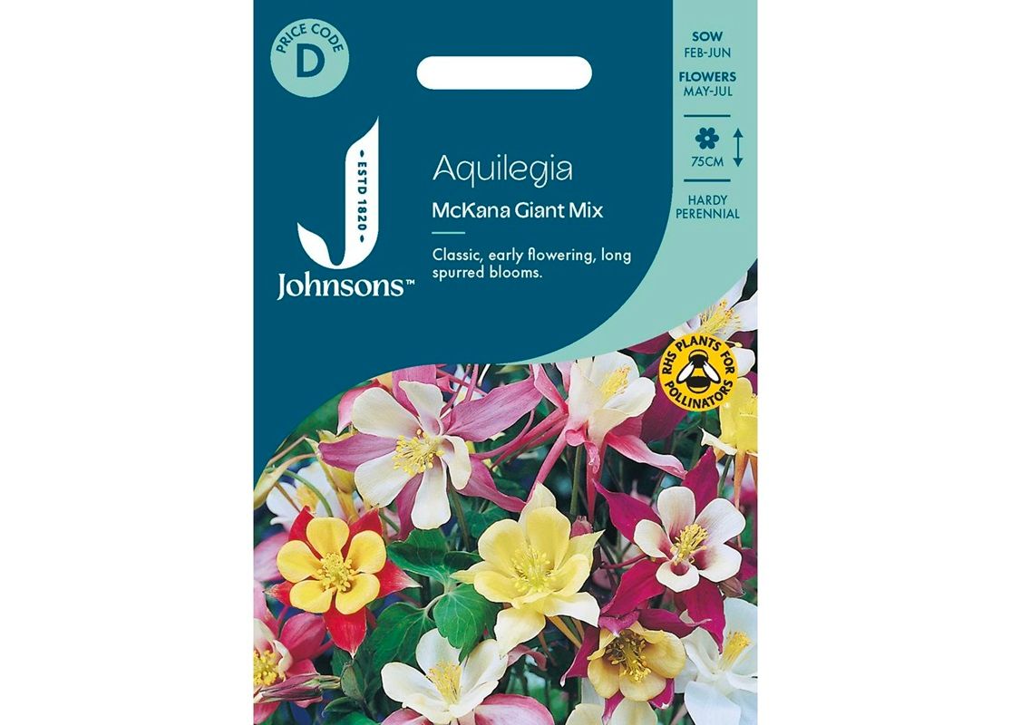 AQUILEGIA McKana Giant Mix