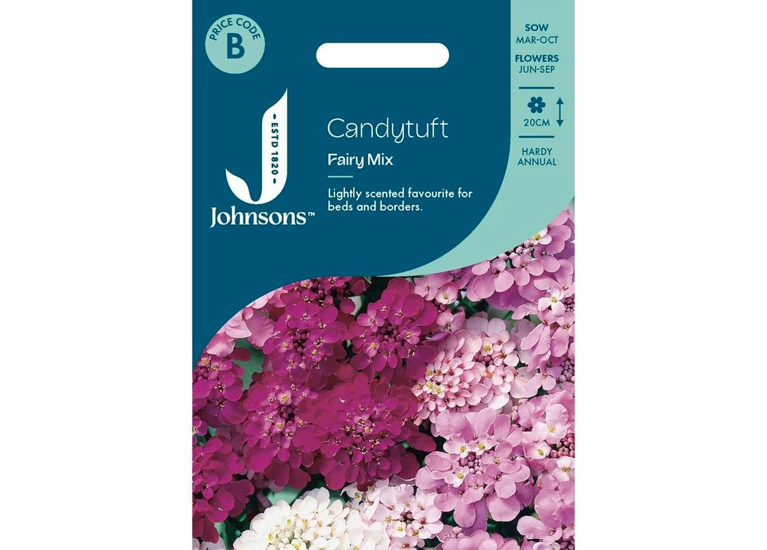 CANDYTUFT Fairy Mix