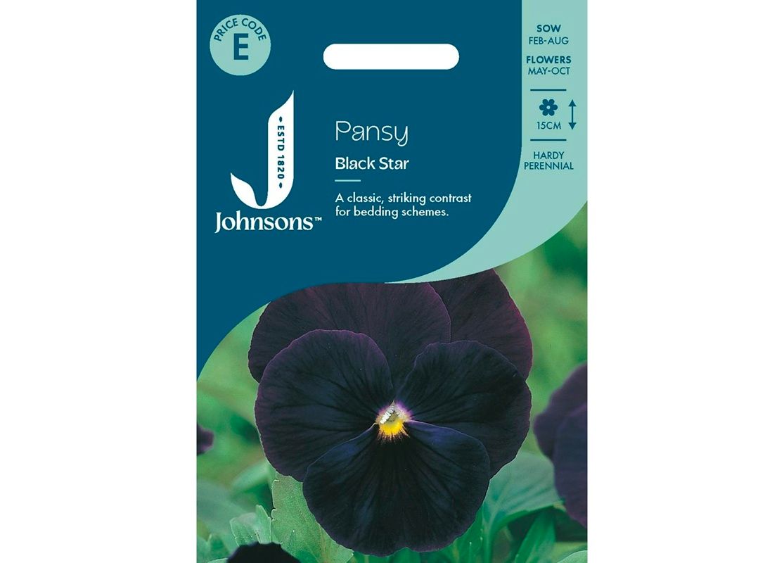 PANSY Black Star