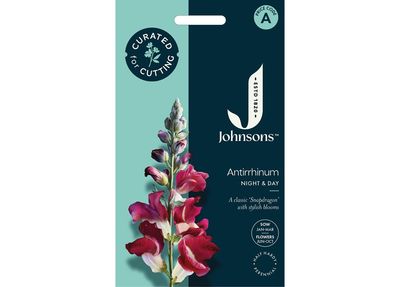 ANTIRRHINUM Night & Day ANTIRRHINUM Night & Day