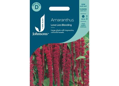 AMARANTHUS - Love Lies Bleeding AMARANTHUS - Love Lies Bleeding