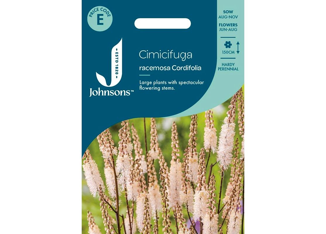 CIMICIFUGA racemosa Cordifolia