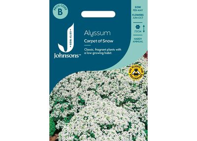ALYSSUM Carpet of Snow ALYSSUM Carpet of Snow