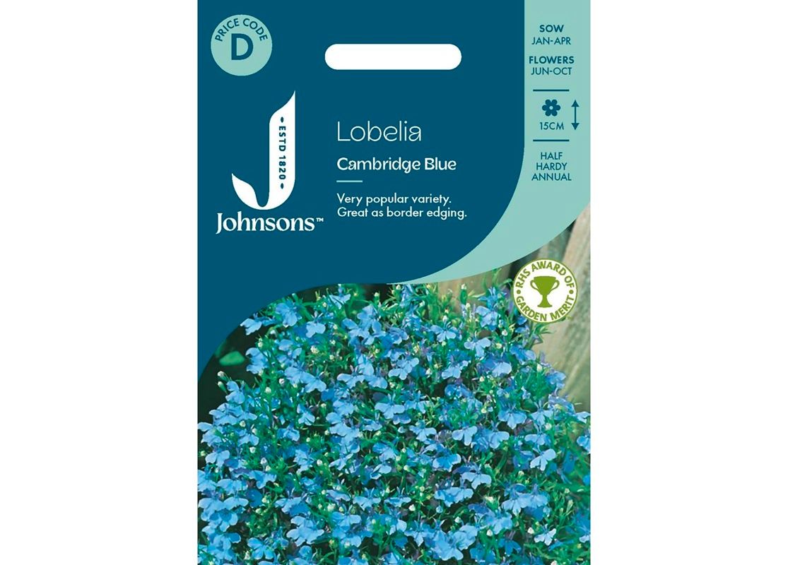 LOBELIA Cambridge Blue