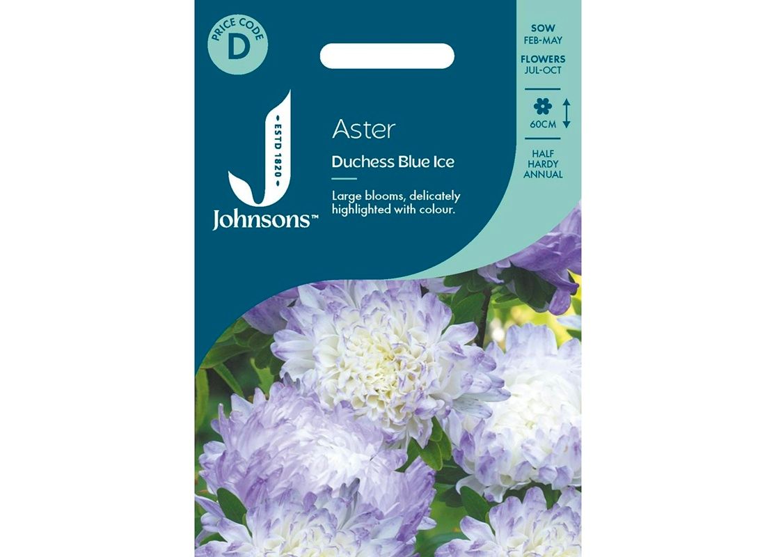 ASTER Duchess Blue Ice