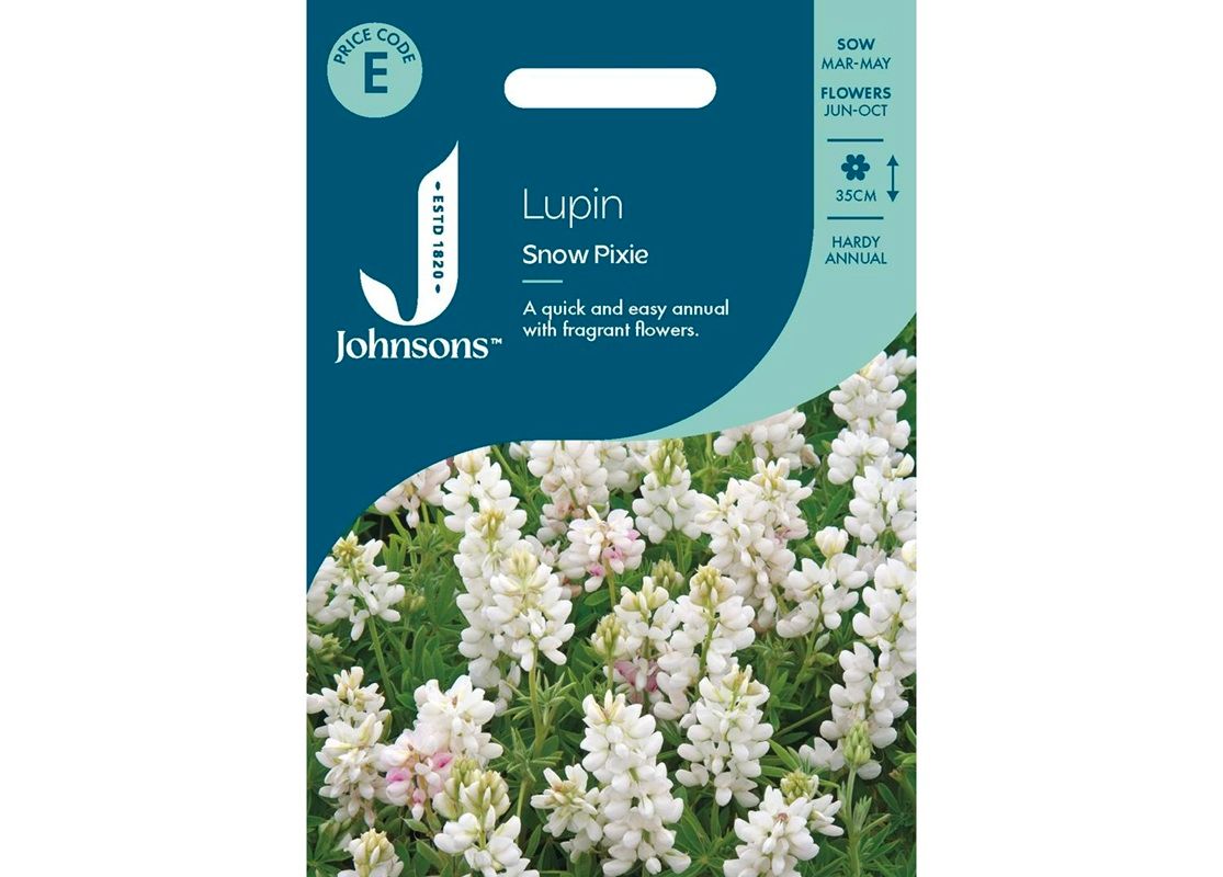 LUPIN Snow Pixie LUPIN Snow Pixie