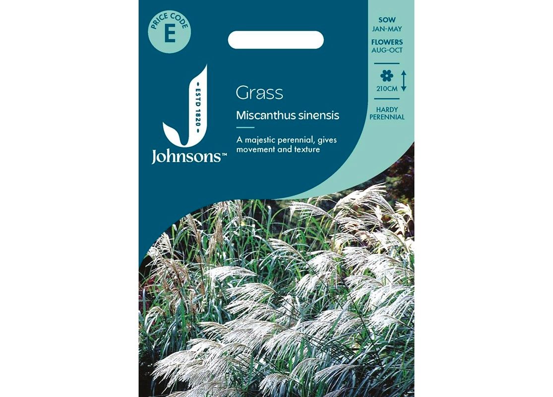 GRASS Miscanthus sinensis