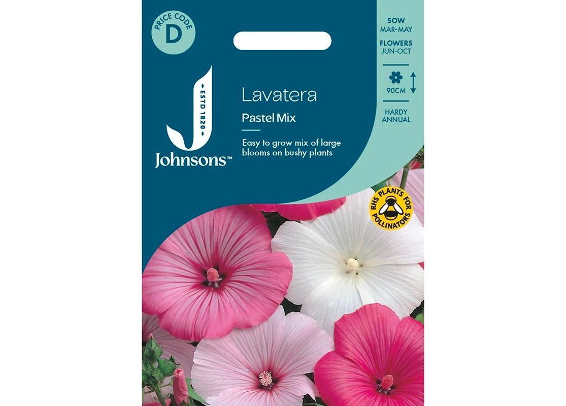 LAVATERA Pastel Mix