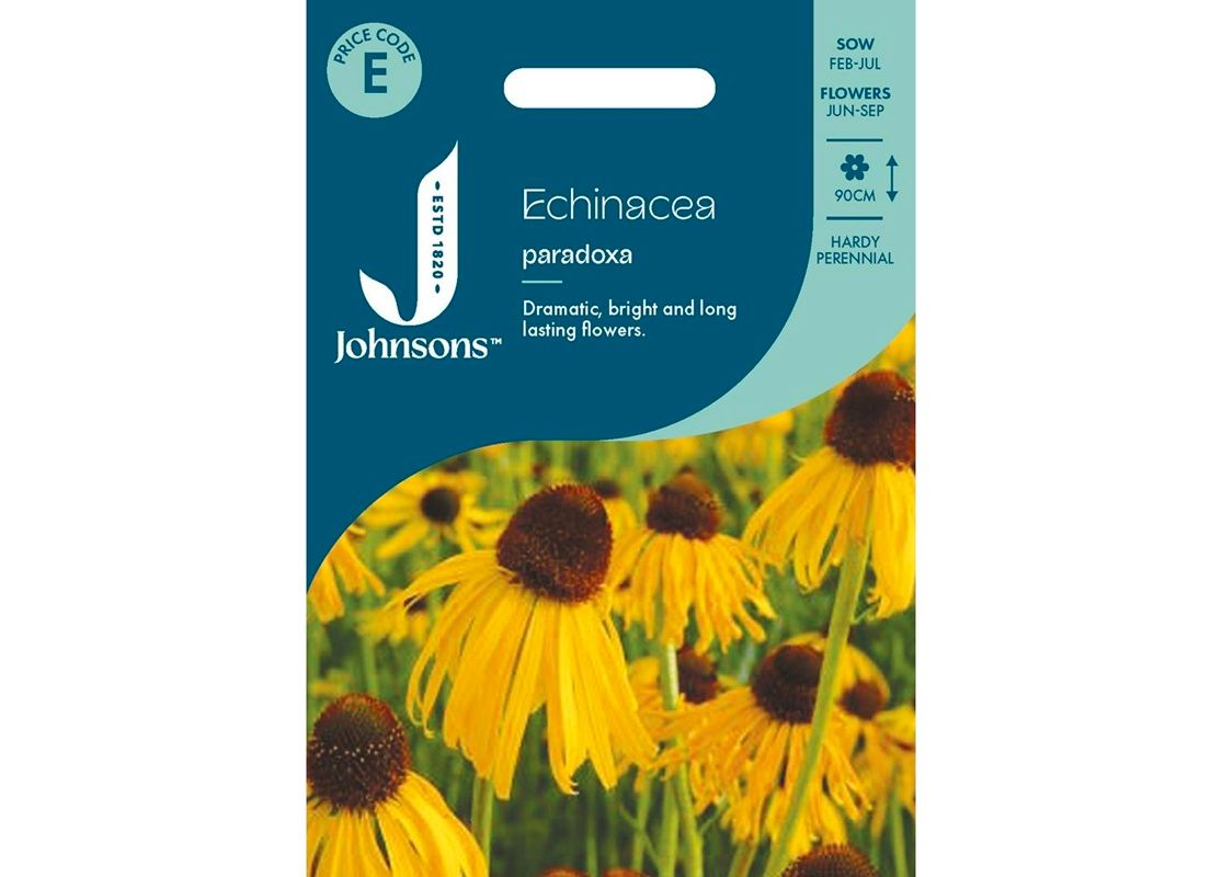 ECHINACEA paradoxa ECHINACEA paradoxa