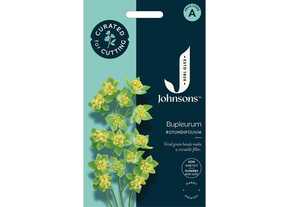 BUPLEURUM rotundifolium