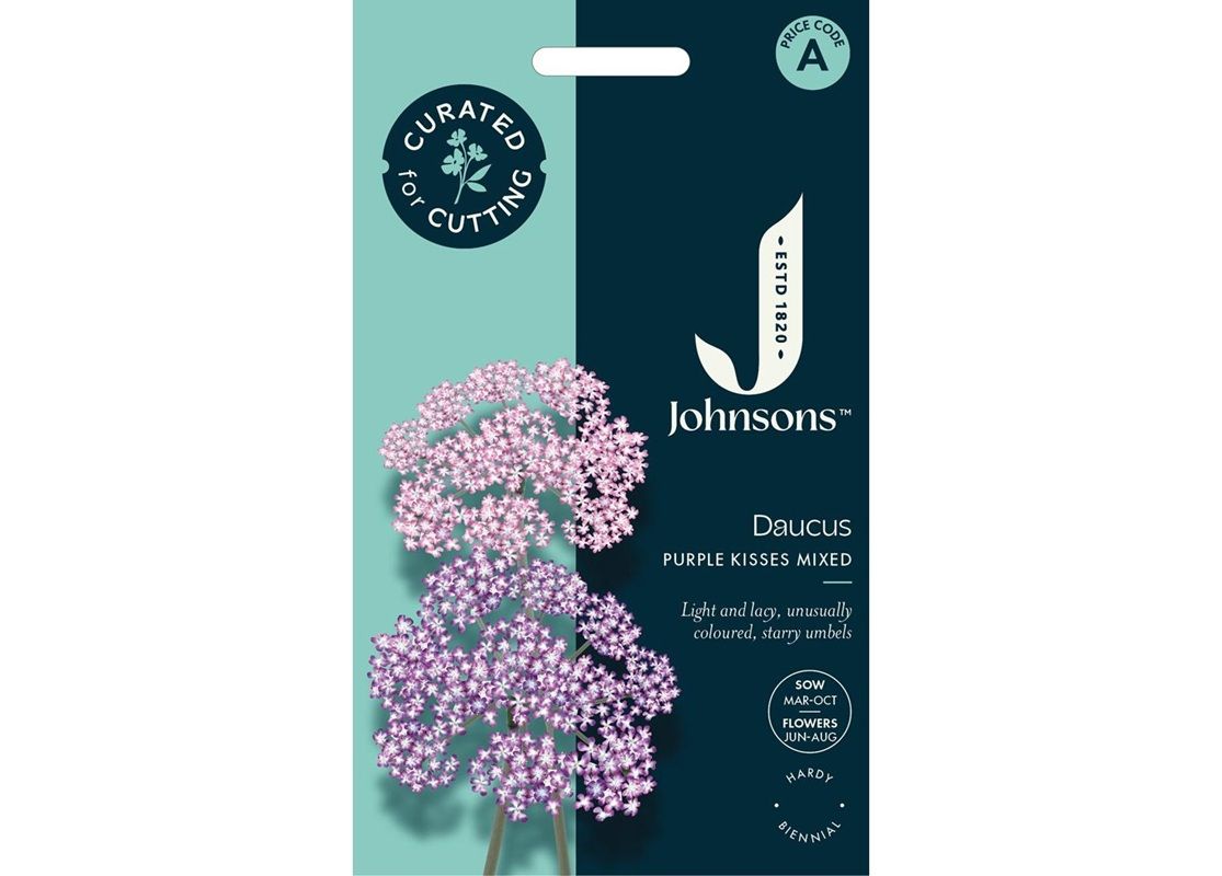 DAUCUS Purple Kisses Mixed