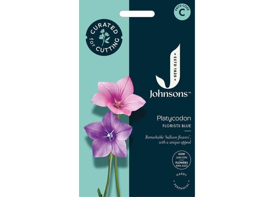 PLATYCODON Florists Blue