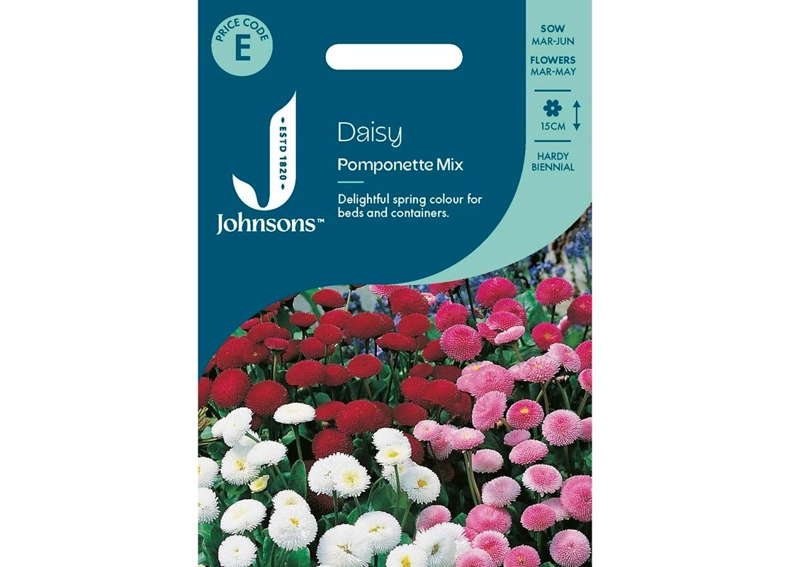 DAISY Pomponette Mix DAISY Pomponette Mix