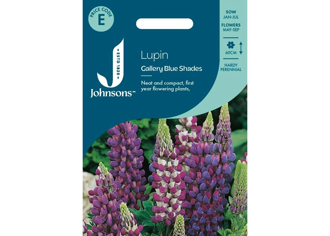 LUPIN Gallery Blue Shades LUPIN Gallery Blue Shades