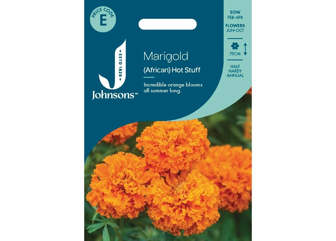 MARIGOLD (African) Hot Stuff MARIGOLD (African) Hot Stuff