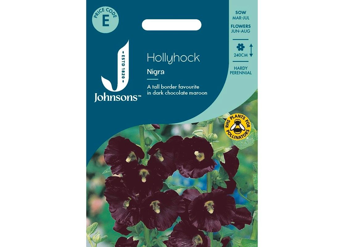 HOLLYHOCK Nigra HOLLYHOCK Nigra