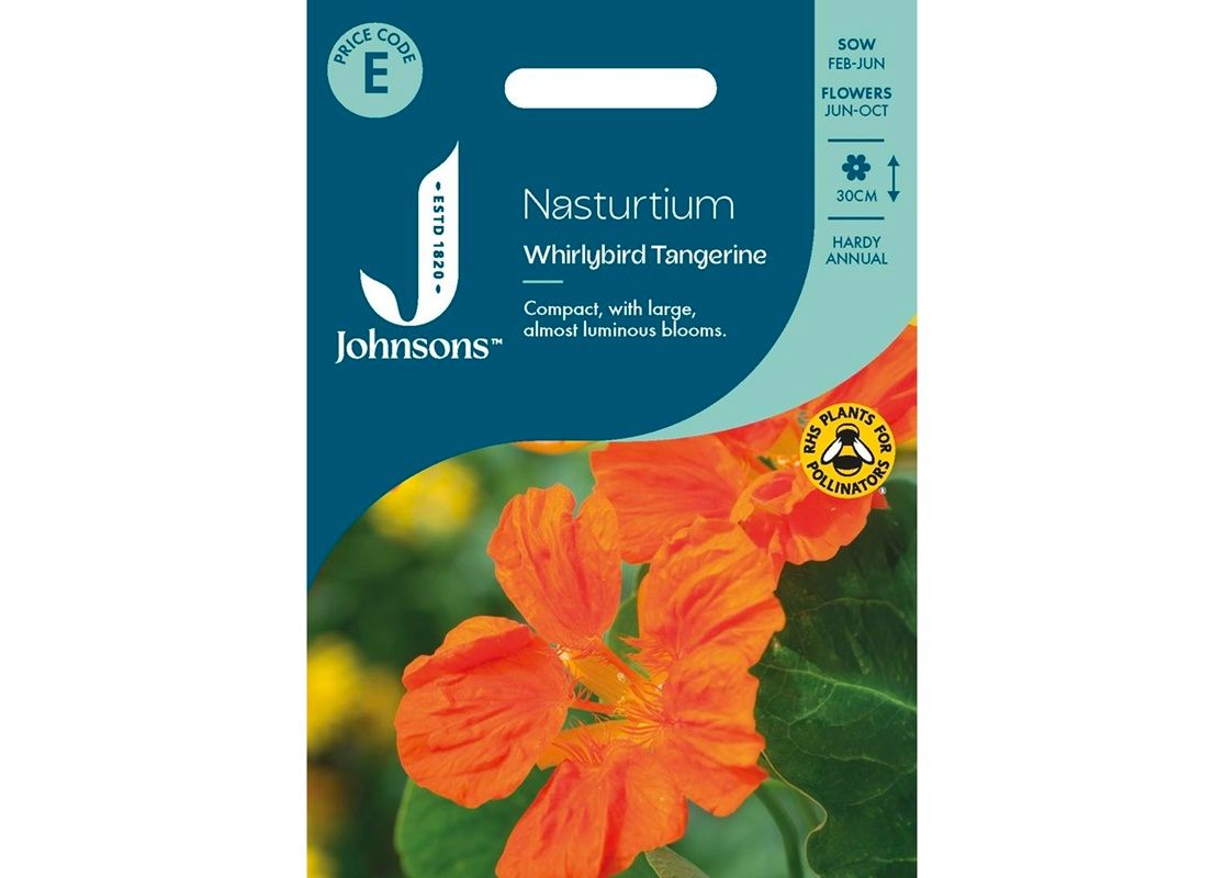 NASTURTIUM Whirlybird Tangerine