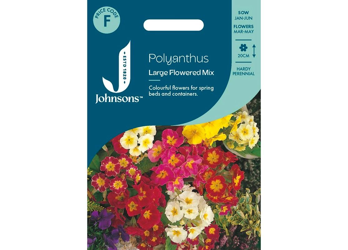POLYANTHUS Large Flowered Mix