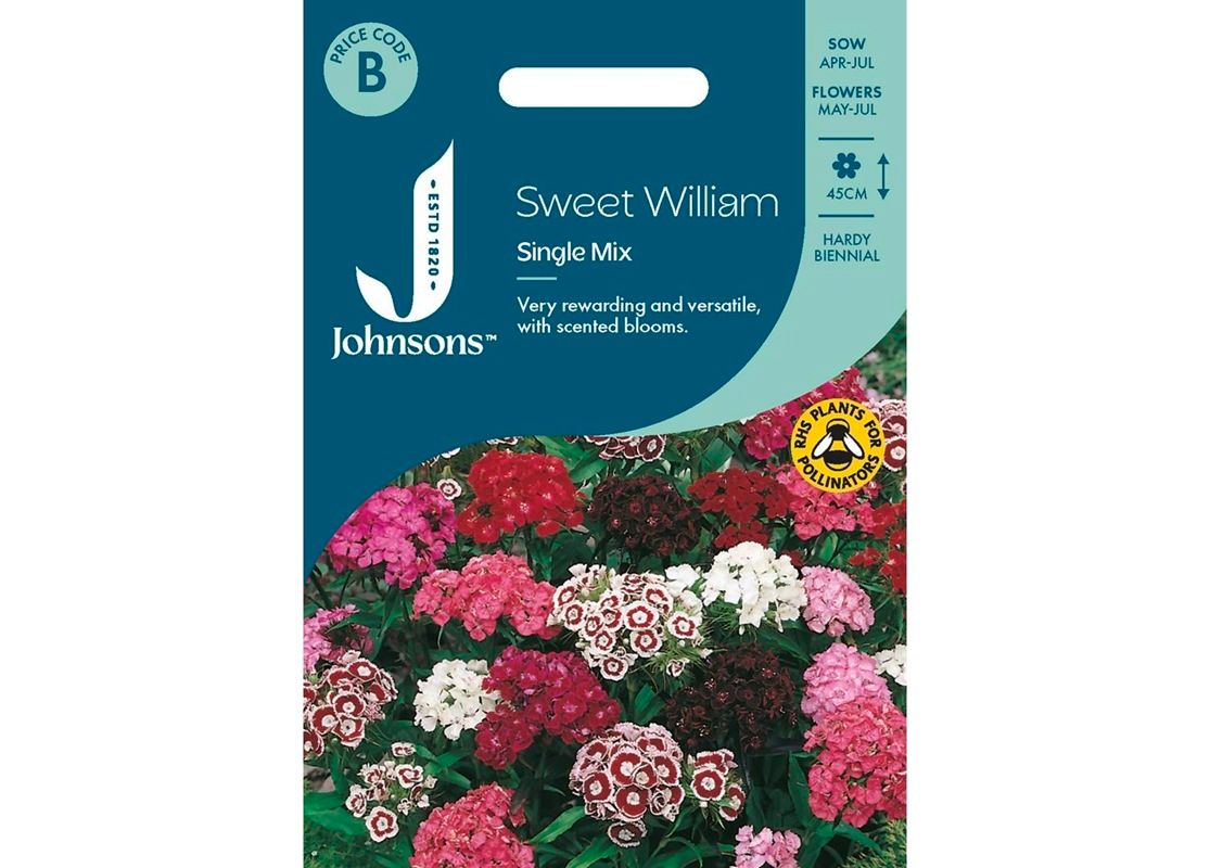 SWEET WILLIAM Single Mix SWEET WILLIAM Single Mix
