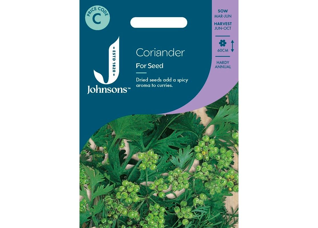 CORIANDER for Seed CORIANDER for Seed