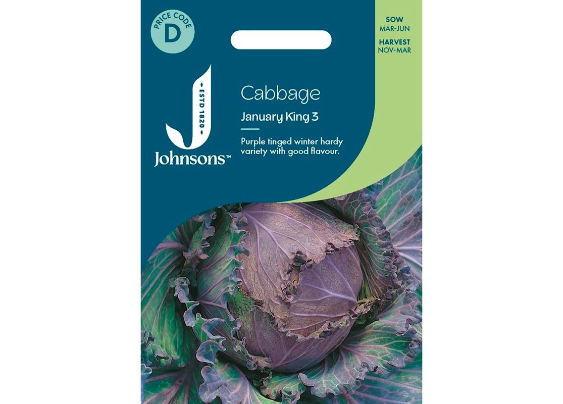 CABBAGE January King 3