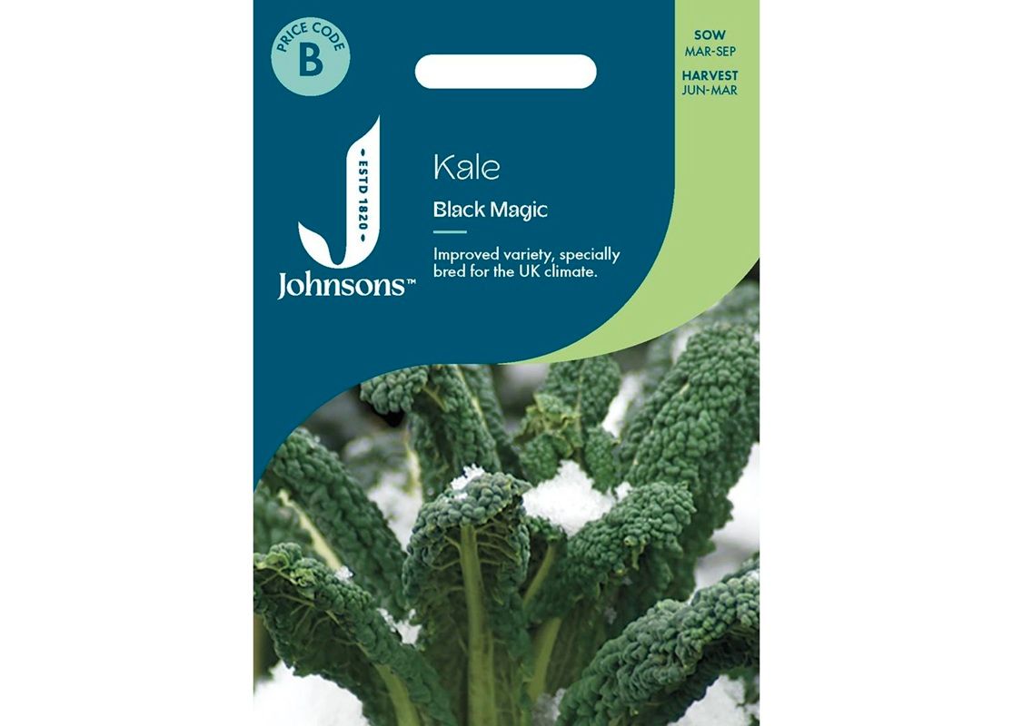 KALE Black Magic KALE Black Magic