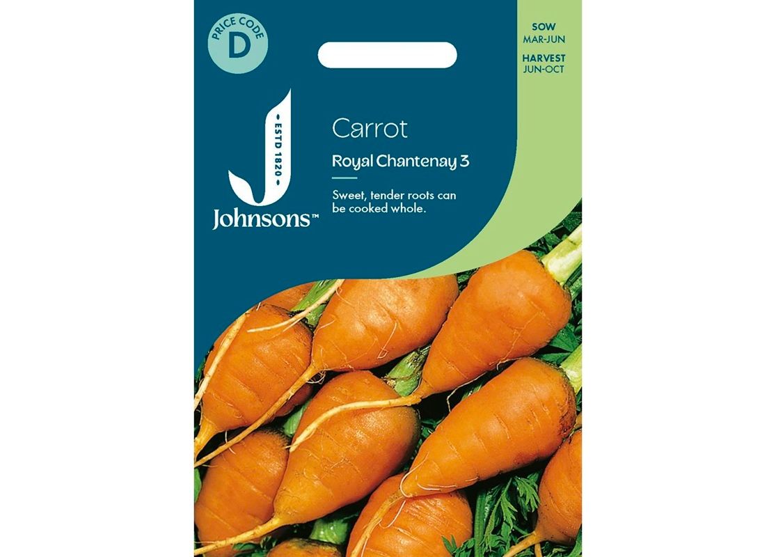 CARROT Royal Chantenay 3