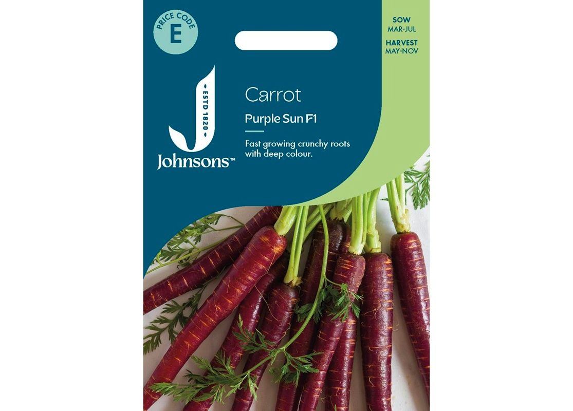 CARROT Purple Sun F1